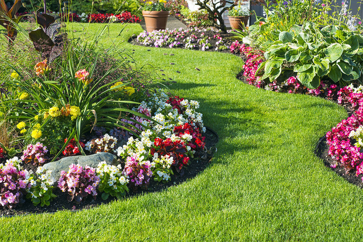 Garden Design